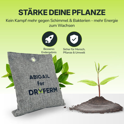 Abigail for DRYFERM – Luftreinigung fürs Growzelt