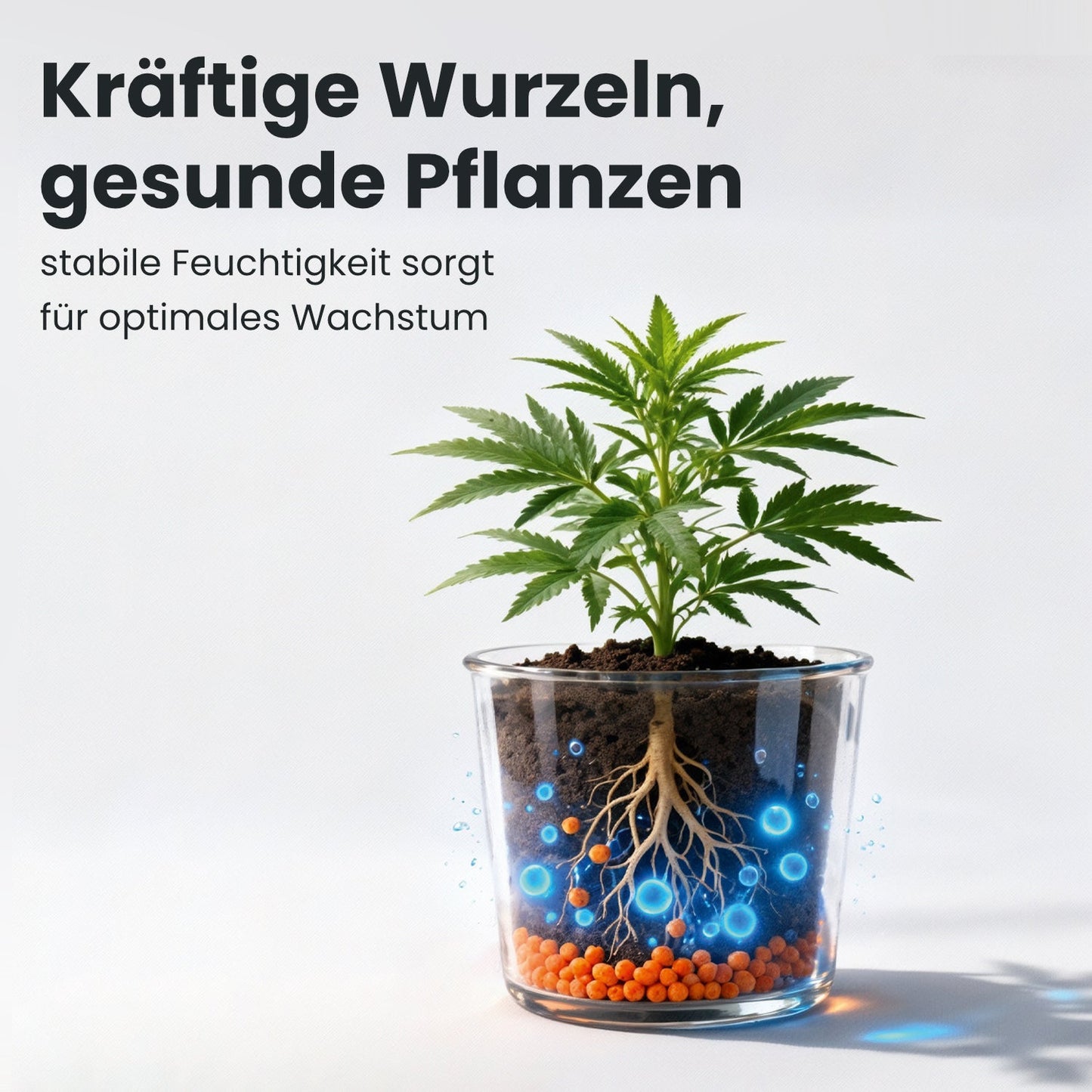 HolidayGrow – Hydrogel Wasser- & Nährstoffspeicher für Pflanzen